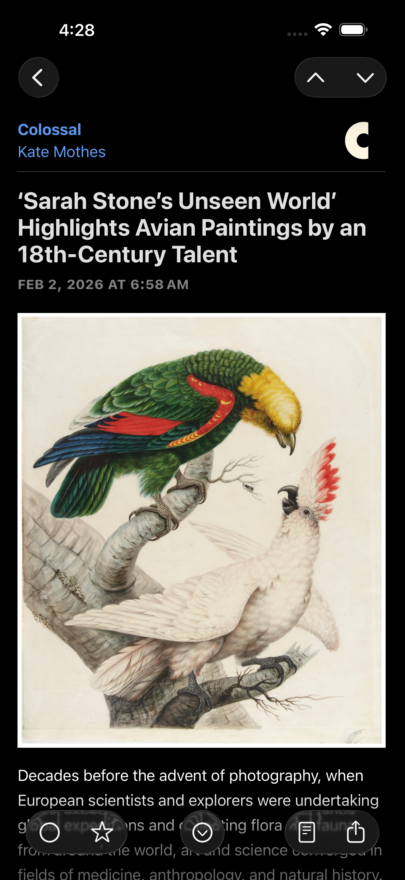 Screenshot showing an article in dark mode.